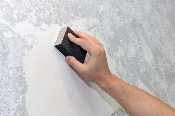 Best Water Damage & Mold Remediation  in Louisville, KY