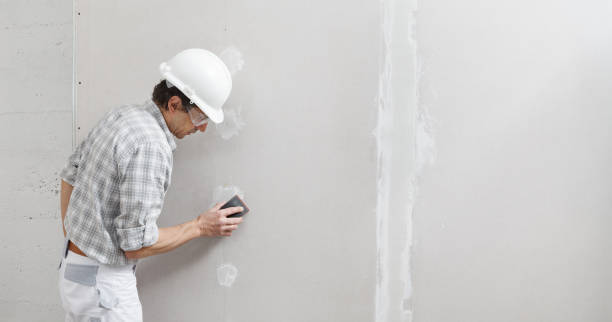 Environmental Consulting for Mold Prevention