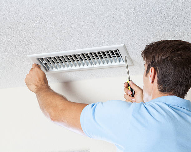 Biohazard Mold Removal in Louisville, KY
