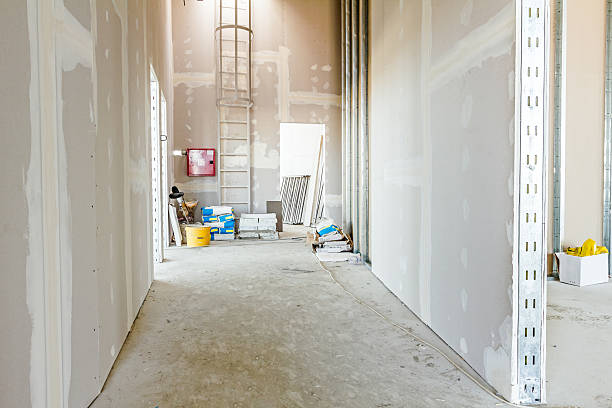 Best Mold Documentation for Insurance Claims  in Louisville, KY