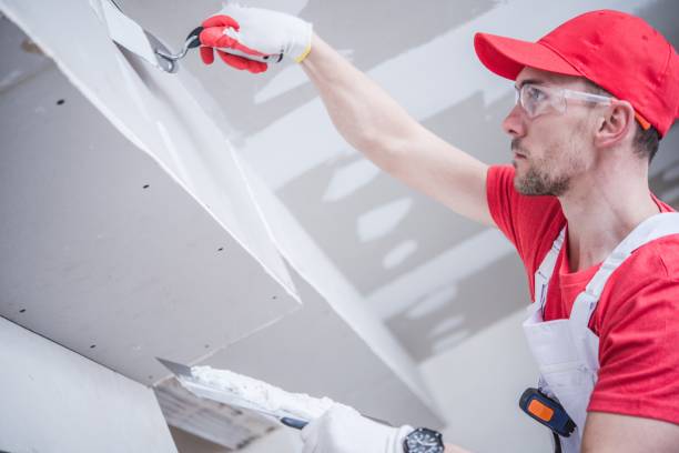 Trusted Louisville, KY Mold Removal Experts